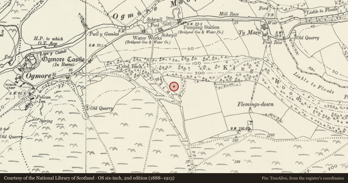 Ordnance Survey six-inch map, 2nd edition (1888–1913) covering the location of Promontory Fort on Fleming's Down, St. Bride's Major, Vale of Glamorgan, with a pin at the register's coordinates