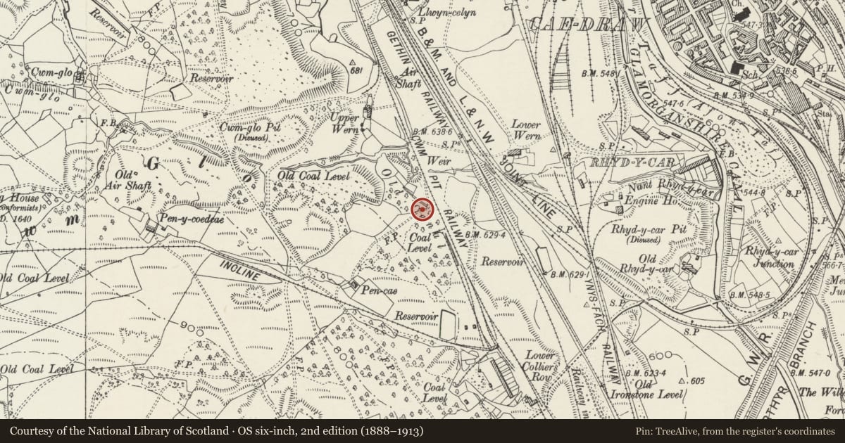 Ordnance Survey six-inch map, 2nd edition (1888–1913) covering the location of Cyfarthfa Canal Level, Merthyr Tydfil, with a pin at the register's coordinates