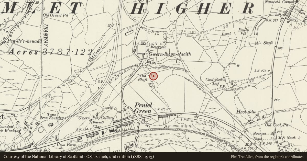 Ordnance Survey six-inch map, 2nd edition (1888–1913) covering the location of Townshend's Great Leat & Waggonway, Llansamlet, Swansea, with a pin at the register's coordinates