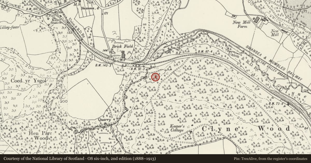 Ordnance Survey six-inch map, 2nd edition (1888–1913) covering the location of Clyne Wood Colliery Steam Winding Machine, Mumbles, Swansea, with a pin at the register's coordinates