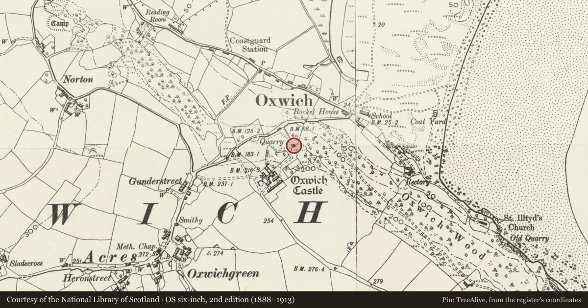 Ordnance Survey six-inch map, 2nd edition (1888–1913) covering the location of Tower NE of Oxwich Castle, Penrice, Swansea, with a pin at the register's coordinates