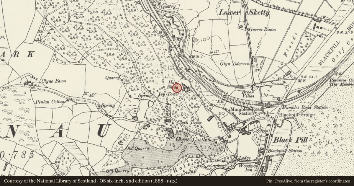 Ordnance Survey six-inch map, 2nd edition (1888–1913) covering the location of Clyne Wood Arsenic & Copper Works, Mumbles, Swansea, with a pin at the register's coordinates