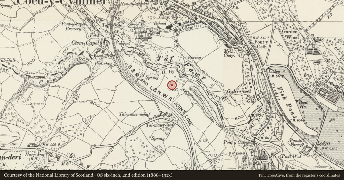 Ordnance Survey six-inch map, 2nd edition (1888–1913) covering the location of Tai Mawr Leat for Cyfarthfa Iron Works, Park, Merthyr Tydfil, with a pin at the register's coordinates