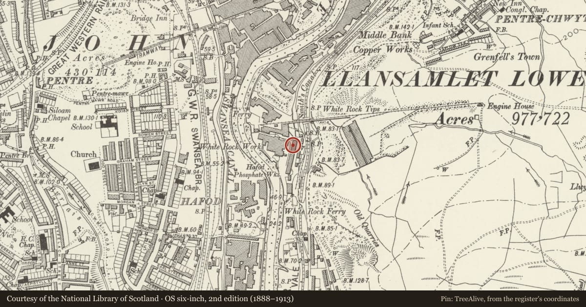 Ordnance Survey six-inch map, 2nd edition (1888–1913) covering the location of White Rock Copper Works, St. Thomas, Swansea, with a pin at the register's coordinates