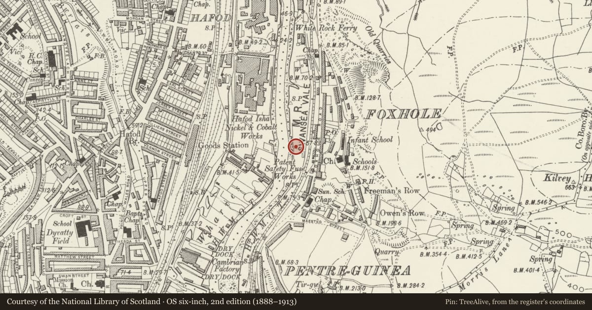 Ordnance Survey six-inch map, 2nd edition (1888–1913) covering the location of Foxhole River Staithes, St. Thomas, Swansea, with a pin at the register's coordinates