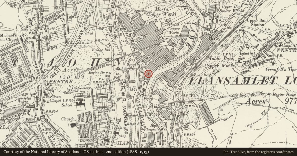 Ordnance Survey six-inch map, 2nd edition (1888–1913) covering the location of Hafod Copper Works Musgrave Engine and Rolls, Landore, Swansea, with a pin at the register's coordinates