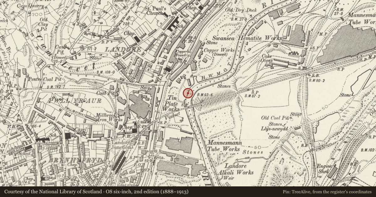 Ordnance Survey six-inch map, 2nd edition (1888–1913) covering the location of Landore New Quay, Swansea, with a pin at the register's coordinates