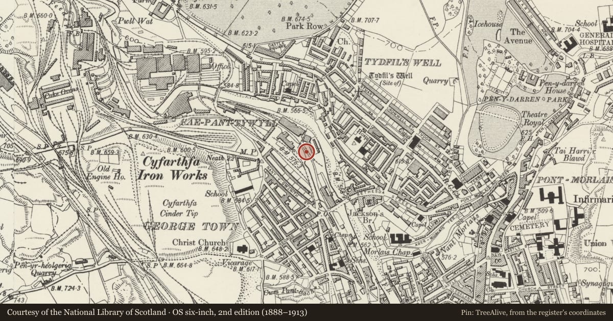 Ordnance Survey six-inch map, 2nd edition (1888–1913) covering the location of Iron Canal Bridge from Rhydycar, Park, Merthyr Tydfil, with a pin at the register's coordinates