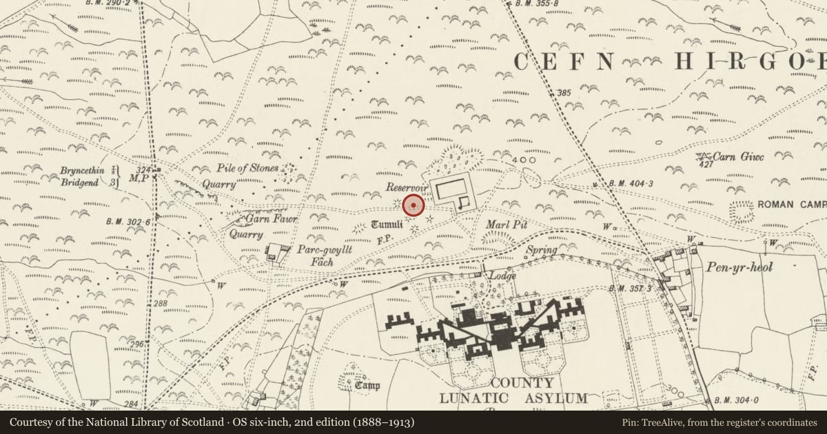 Ordnance Survey six-inch map, 2nd edition (1888–1913) covering the location of Three Pillow Mounds on Cefn Hirgoed, St. Bride's Minor, Bridgend, with a pin at the register's coordinates