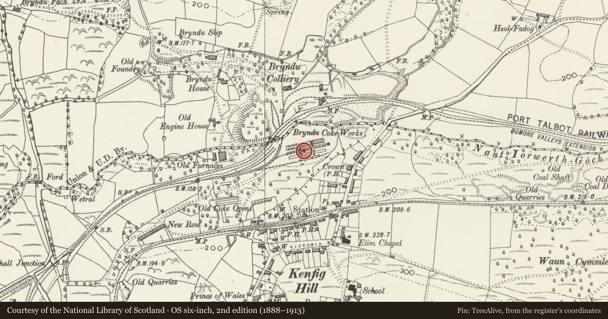 Ordnance Survey six-inch map, 2nd edition (1888–1913) covering the location of Bryndu Coke Ovens, Cynffig, Bridgend, with a pin at the register's coordinates