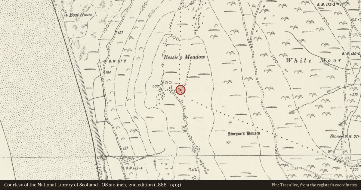 Ordnance Survey six-inch map, 2nd edition (1888–1913) covering the location of Round Cairn on Bessie's Meadow, Llangennith, Llanmadoc and Cheriton, Swansea, with a pin at the register's coordinates