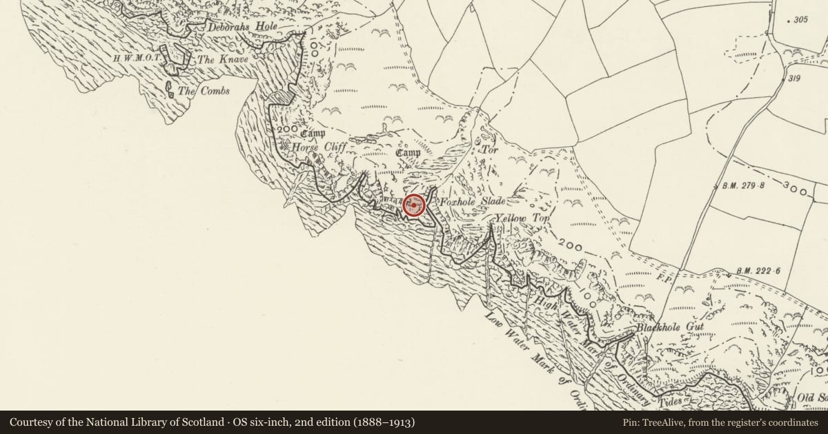 Ordnance Survey six-inch map, 2nd edition (1888–1913) covering the location of Paviland Cave, Rhossili, Swansea, with a pin at the register's coordinates
