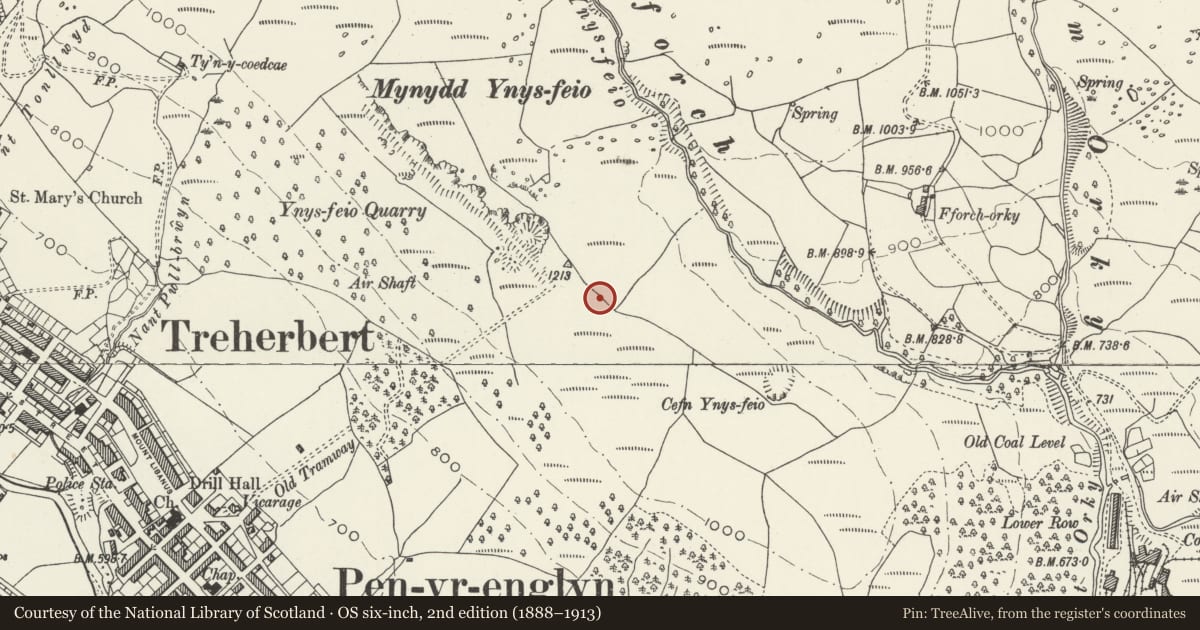 Ordnance Survey six-inch map, 2nd edition (1888–1913) covering the location of Incline Haulage Systems, Cefn Ynysfeio, Treherbert, Rhondda Cynon Taff, with a pin at the register's coordinates