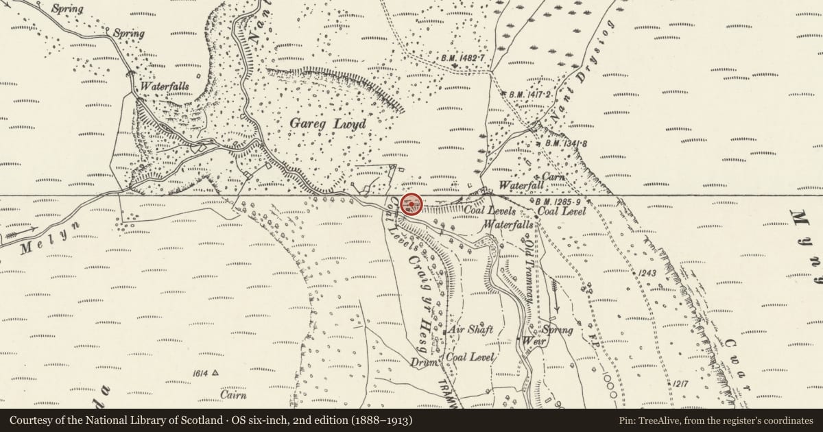 Ordnance Survey six-inch map, 2nd edition (1888–1913) covering the location of Locomotive Type Steam Boiler, Blaen Rhondda, Treherbert, Rhondda Cynon Taff, with a pin at the register's coordinates