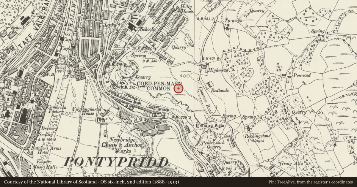 Ordnance Survey six-inch map, 2nd edition (1888–1913) covering the location of Ring Cairn and Two Standing Stones on Coedpenmaen Common, Pontypridd, Rhondda Cynon Taff, with a pin at the register's coordinates