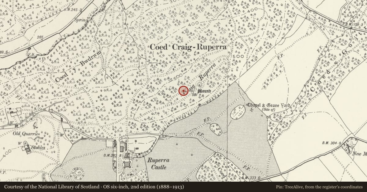 Ordnance Survey six-inch map, 2nd edition (1888–1913) covering the location of Ruperra Hillfort and Motte, Rudry, Caerphilly, with a pin at the register's coordinates