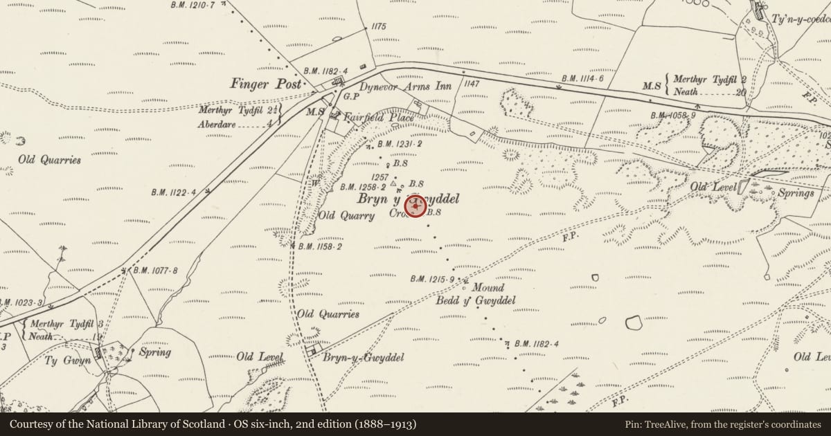 Ordnance Survey six-inch map, 2nd edition (1888–1913) covering the location of Pillow Mound at Bryn y Gwyddel, Llwydcoed, Rhondda Cynon Taff, with a pin at the register's coordinates