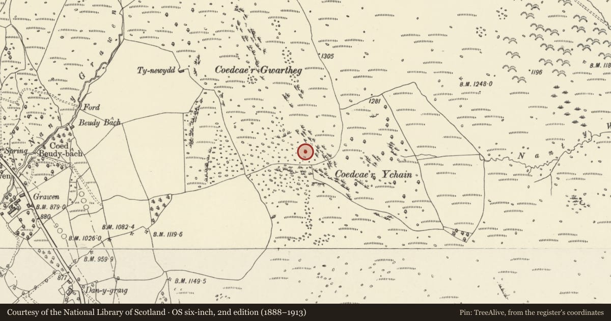 Ordnance Survey six-inch map, 2nd edition (1888–1913) covering the location of Enclosure on Coedcae'r Ychain, Vaynor, Merthyr Tydfil, with a pin at the register's coordinates