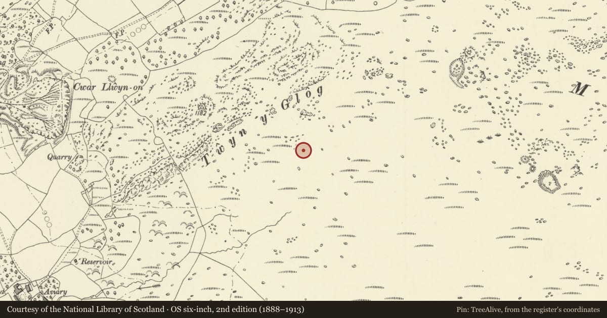Ordnance Survey six-inch map, 2nd edition (1888–1913) covering the location of Round Cairn and Ring Cairn South of Twyn-y-Glog, Hirwaun, Rhondda Cynon Taff, with a pin at the register's coordinates