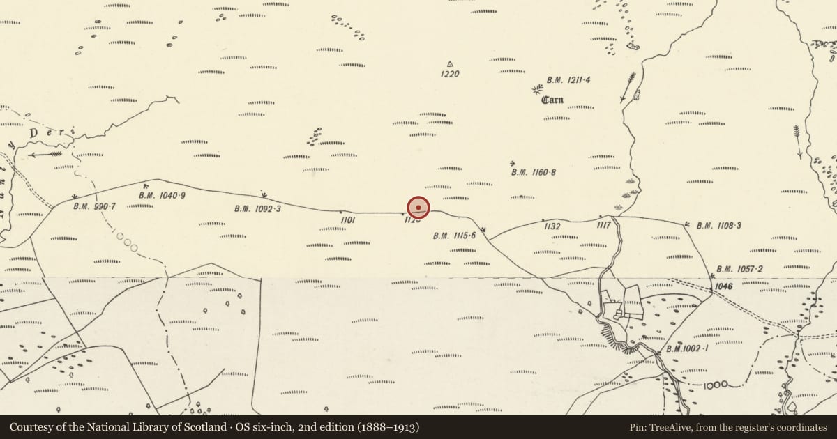 Ordnance Survey six-inch map, 2nd edition (1888–1913) covering the location of Ring Cairn and Round Cairn on Southern Side of Mynydd-y-Glog, Hirwaun, Rhondda Cynon Taff, with a pin at the register's coordinates