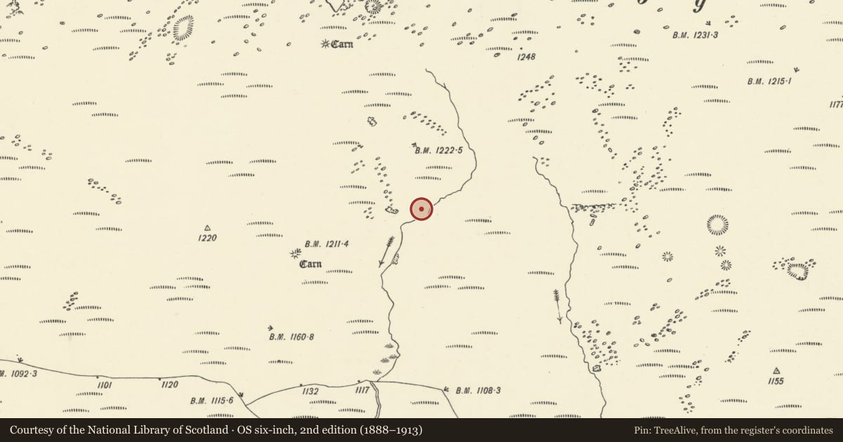 Ordnance Survey six-inch map, 2nd edition (1888–1913) covering the location of Three Round Cairns on the Southern Side of Mynydd-y-Glog, Hirwaun, Rhondda Cynon Taff, with a pin at the register's coordinates