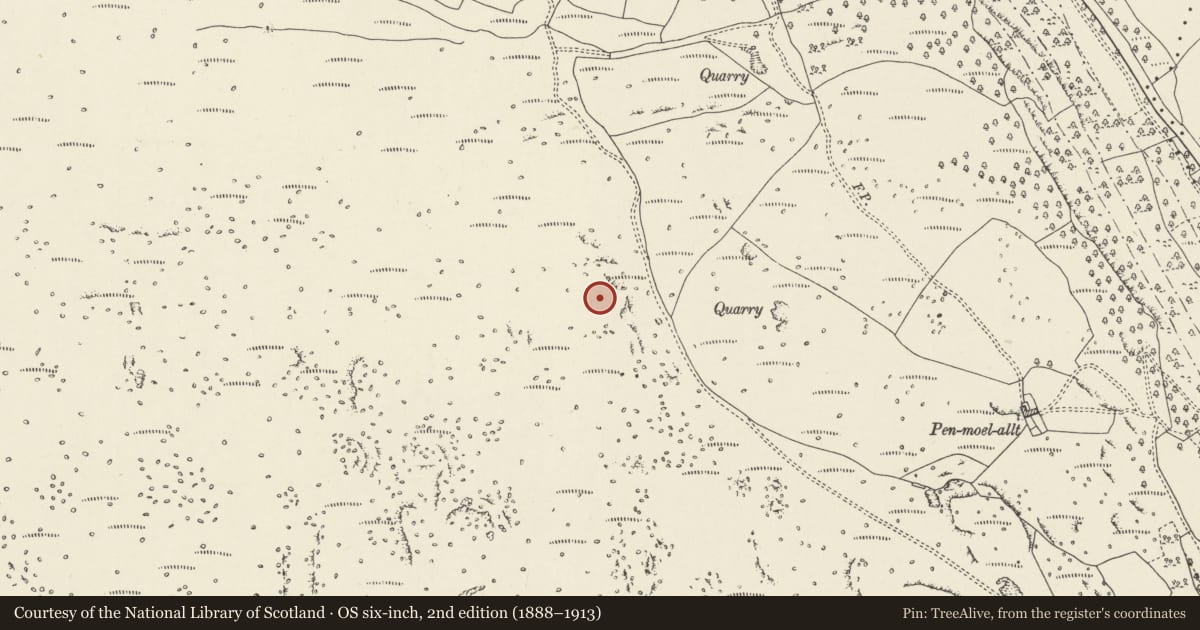 Ordnance Survey six-inch map, 2nd edition (1888–1913) covering the location of Penmoelallt Round Barrows, Hirwaun, Rhondda Cynon Taff, with a pin at the register's coordinates