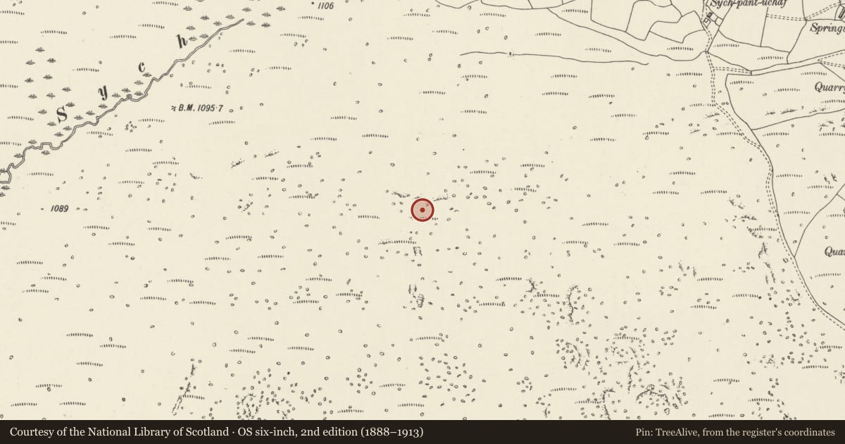 Ordnance Survey six-inch map, 2nd edition (1888–1913) covering the location of Two Round Cairns at Onllwyn, Hirwaun, Rhondda Cynon Taff, with a pin at the register's coordinates