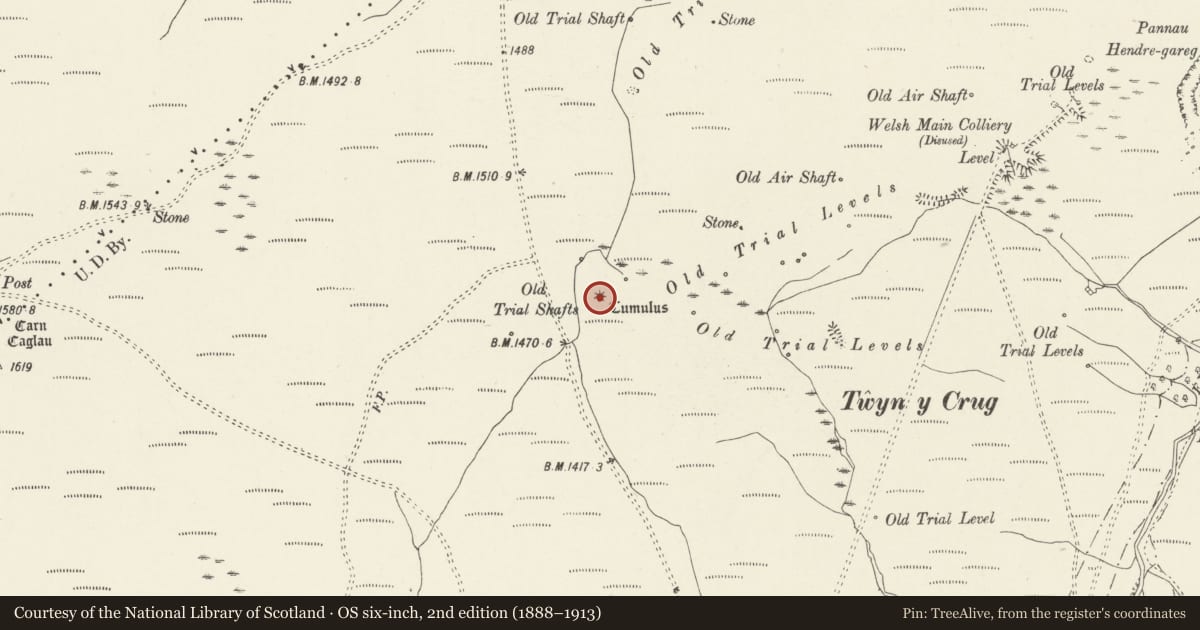 Ordnance Survey six-inch map, 2nd edition (1888–1913) covering the location of Bryn Llydan Round Barrow, Glyncorrwg, Neath Port Talbot, with a pin at the register's coordinates