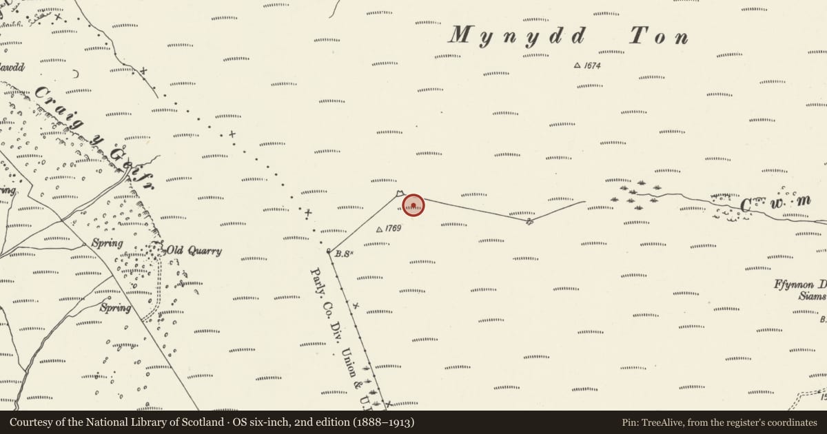 Ordnance Survey six-inch map, 2nd edition (1888–1913) covering the location of Mynydd Ton Cairns, Pentre, Rhondda Cynon Taff, with a pin at the register's coordinates