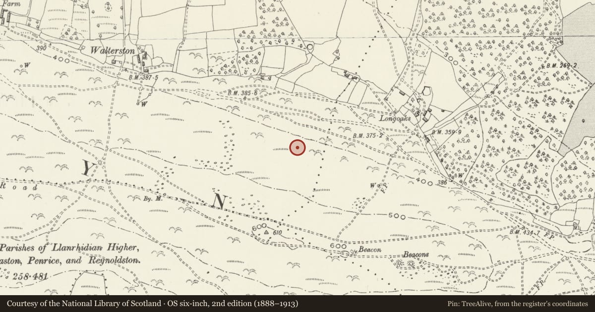 Ordnance Survey six-inch map, 2nd edition (1888–1913) covering the location of Cefn Bryn Burnt Mound, Ilston, Swansea, with a pin at the register's coordinates