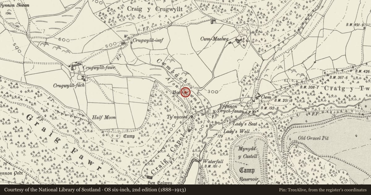 Ordnance Survey six-inch map, 2nd edition (1888–1913) covering the location of Margam Medieval Bath House, Neath Port Talbot, with a pin at the register's coordinates
