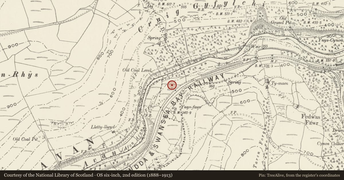Ordnance Survey six-inch map, 2nd edition (1888–1913) covering the location of Cynon Corn-Drying Kiln, Glyncorrwg, Neath Port Talbot, with a pin at the register's coordinates