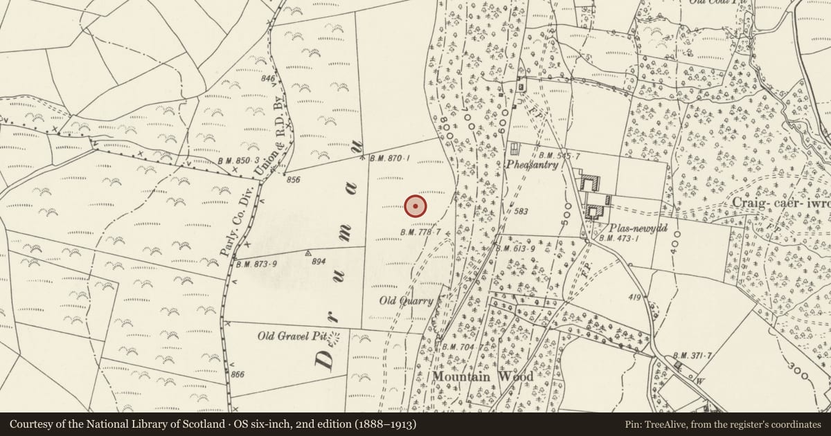 Ordnance Survey six-inch map, 2nd edition (1888–1913) covering the location of House Platforms West of Dyffryn Wood, Dyffryn Clydach, Neath Port Talbot, with a pin at the register's coordinates