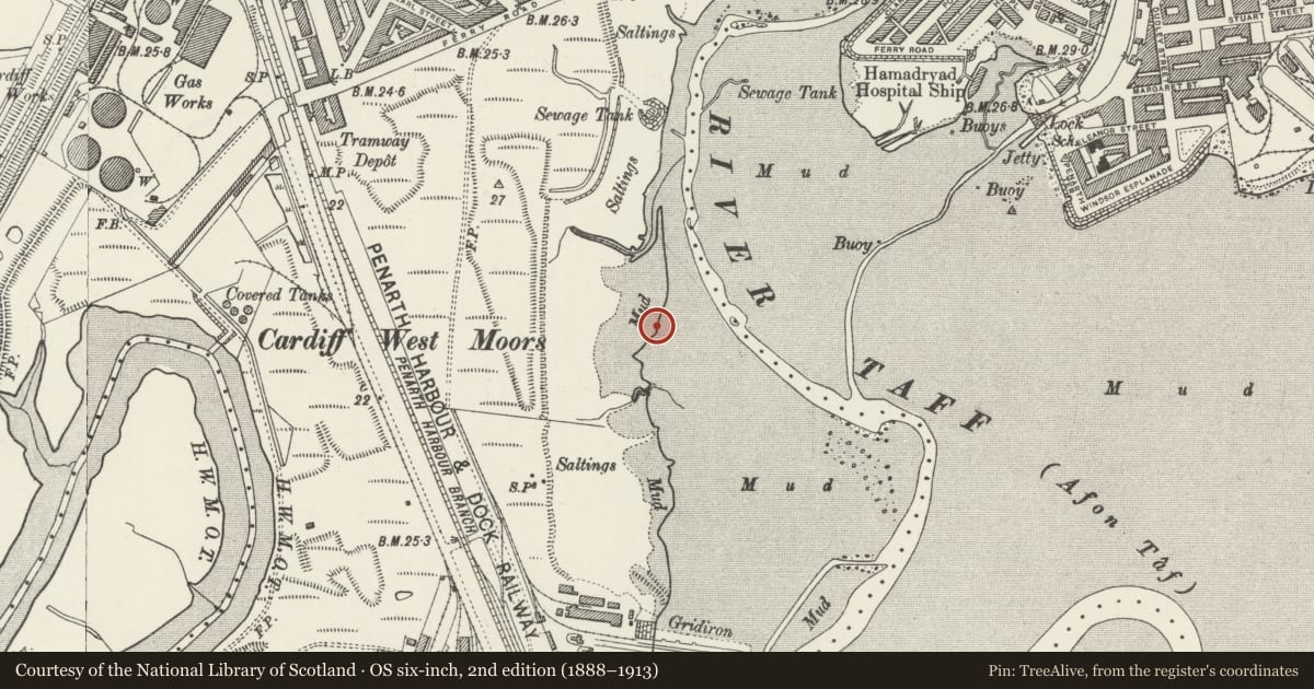 Ordnance Survey six-inch map, 2nd edition (1888–1913) covering the location of The Wreck of the "Louisa", Grangetown, Cardiff, with a pin at the register's coordinates