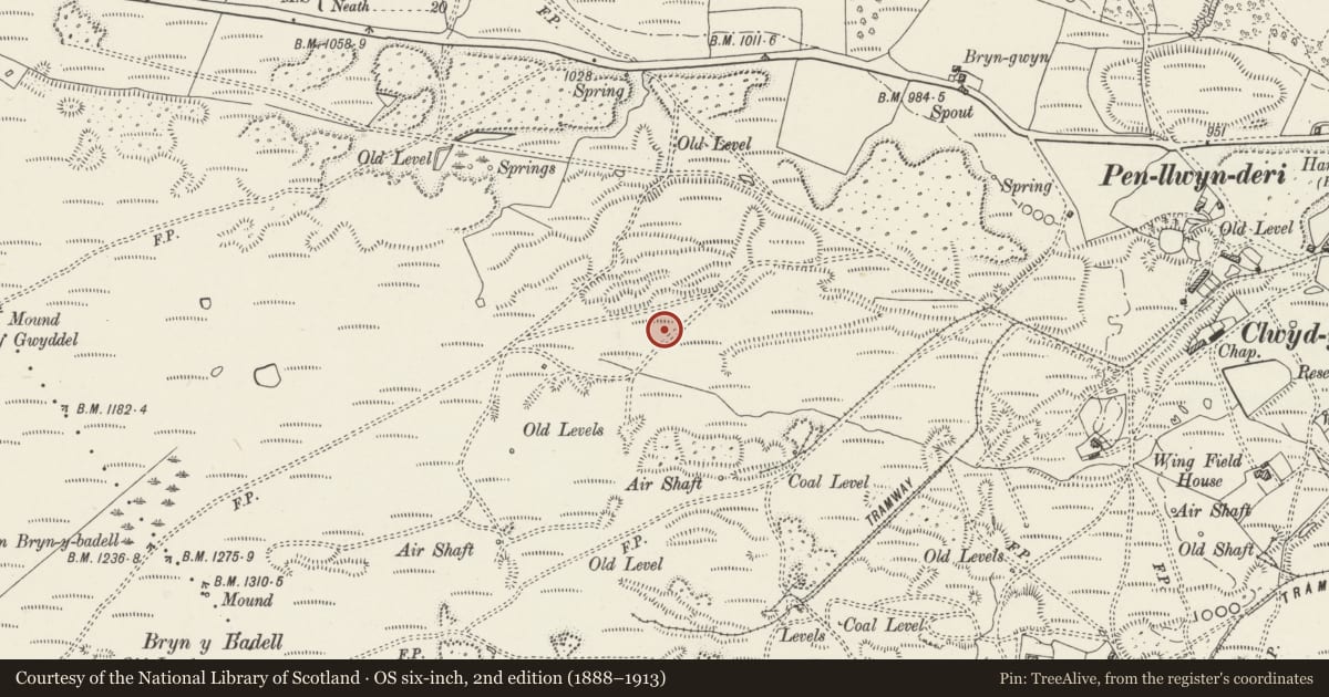 Ordnance Survey six-inch map, 2nd edition (1888–1913) covering the location of Iron Ore Scours and Patch Workings at Winch Fawr, Merthyr Tydfil, Cyfarthfa, Merthyr Tydfil, with a pin at the register's coordinates