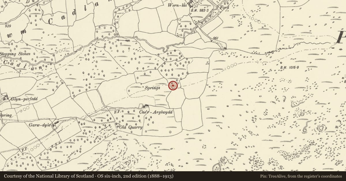 Ordnance Survey six-inch map, 2nd edition (1888–1913) covering the location of Wernlas hut circle, Hirwaun, Rhondda Cynon Taff, with a pin at the register's coordinates