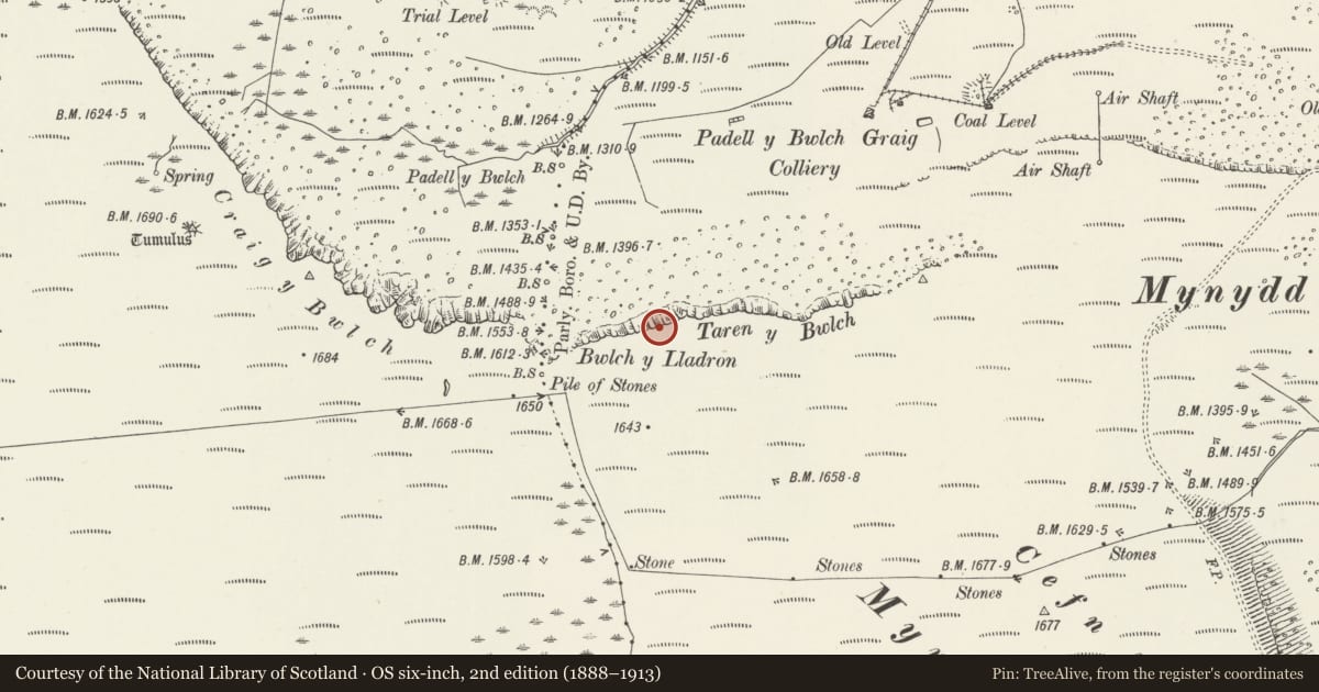 Ordnance Survey six-inch map, 2nd edition (1888–1913) covering the location of Tarren y Bwlch round cairn, Hirwaun, Rhondda Cynon Taff, with a pin at the register's coordinates