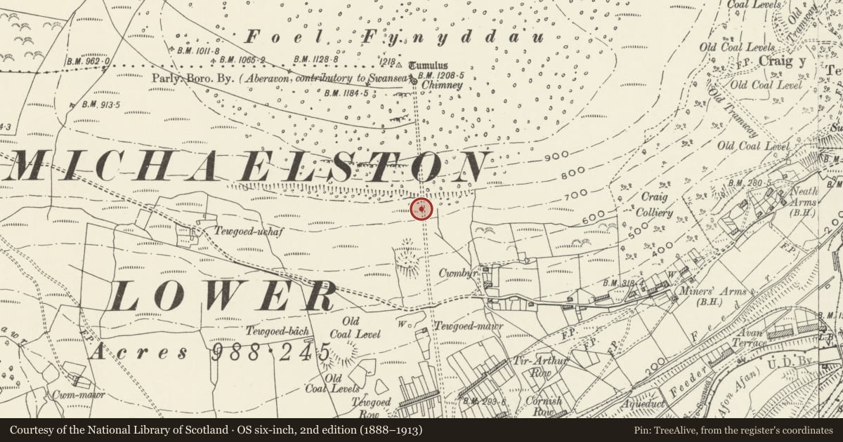 Ordnance Survey six-inch map, 2nd edition (1888–1913) covering the location of Cwmafan copper works flue, Cwmavon, Neath Port Talbot, with a pin at the register's coordinates