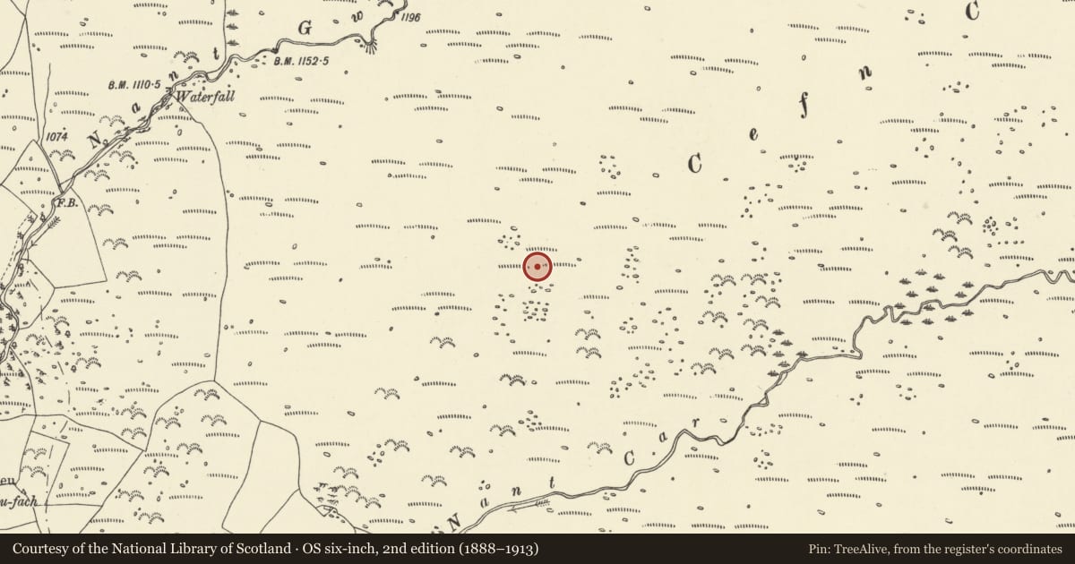 Ordnance Survey six-inch map, 2nd edition (1888–1913) covering the location of Cefn Car settlement, Vaynor, Merthyr Tydfil, with a pin at the register's coordinates