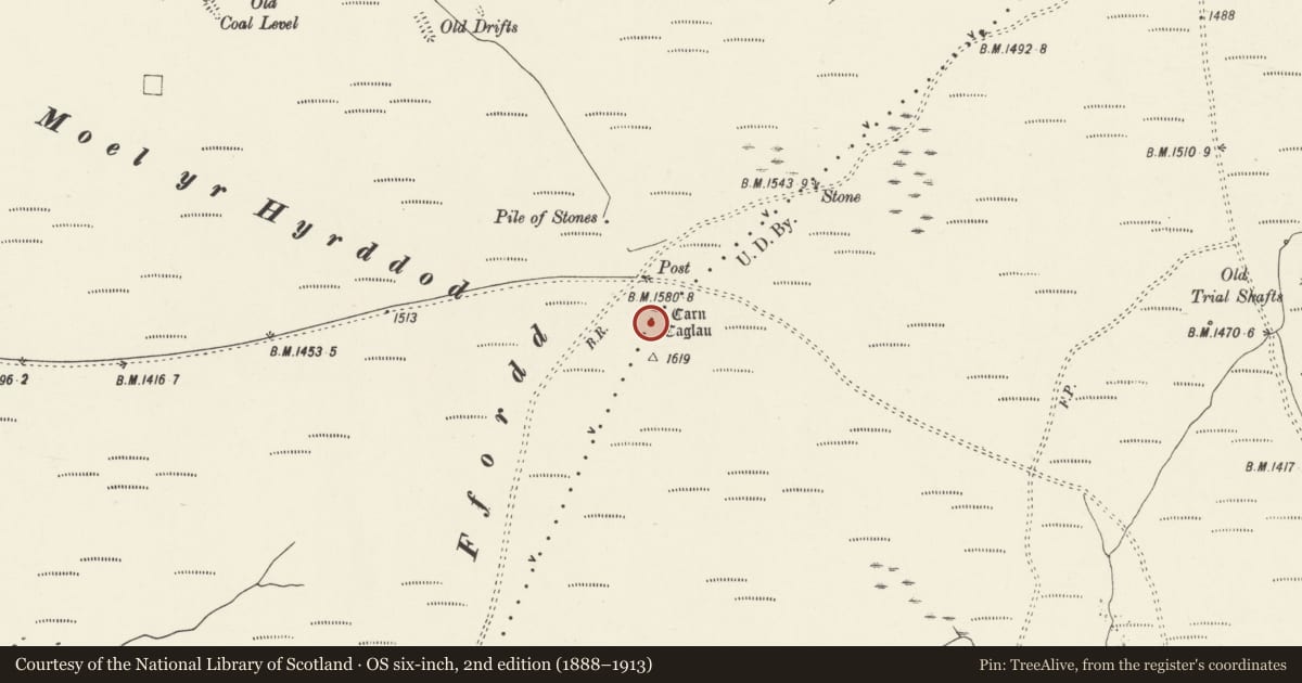 Ordnance Survey six-inch map, 2nd edition (1888–1913) covering the location of Carn Caglau cairn, Glyncorrwg, Neath Port Talbot, with a pin at the register's coordinates