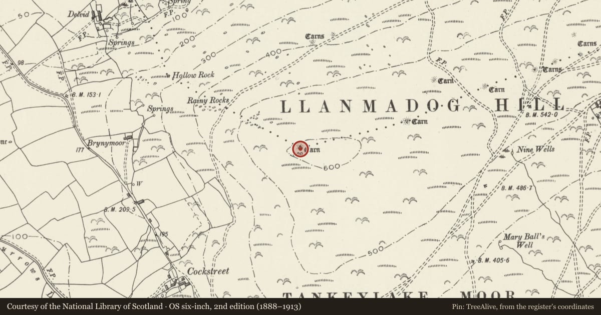 Ordnance Survey six-inch map, 2nd edition (1888–1913) covering the location of Round Cairn, Llangennith, Llanmadoc and Cheriton, Swansea, with a pin at the register's coordinates