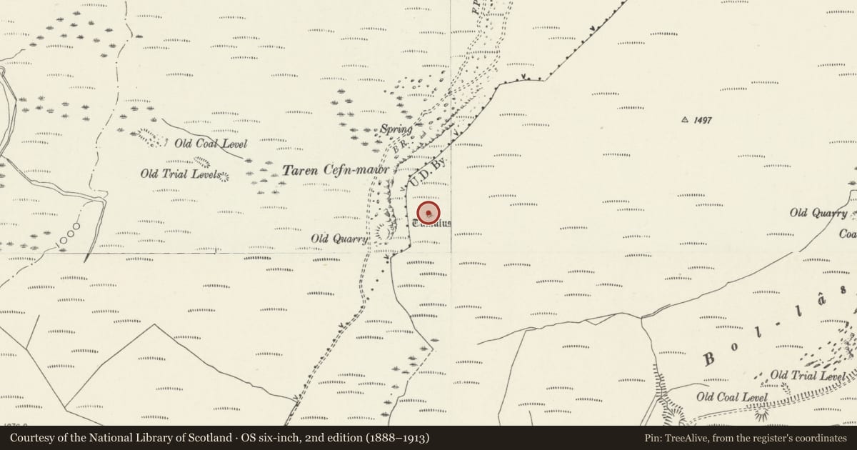 Ordnance Survey six-inch map, 2nd edition (1888–1913) covering the location of Cefn Mawr cairn, Pelenna, Neath Port Talbot, with a pin at the register's coordinates