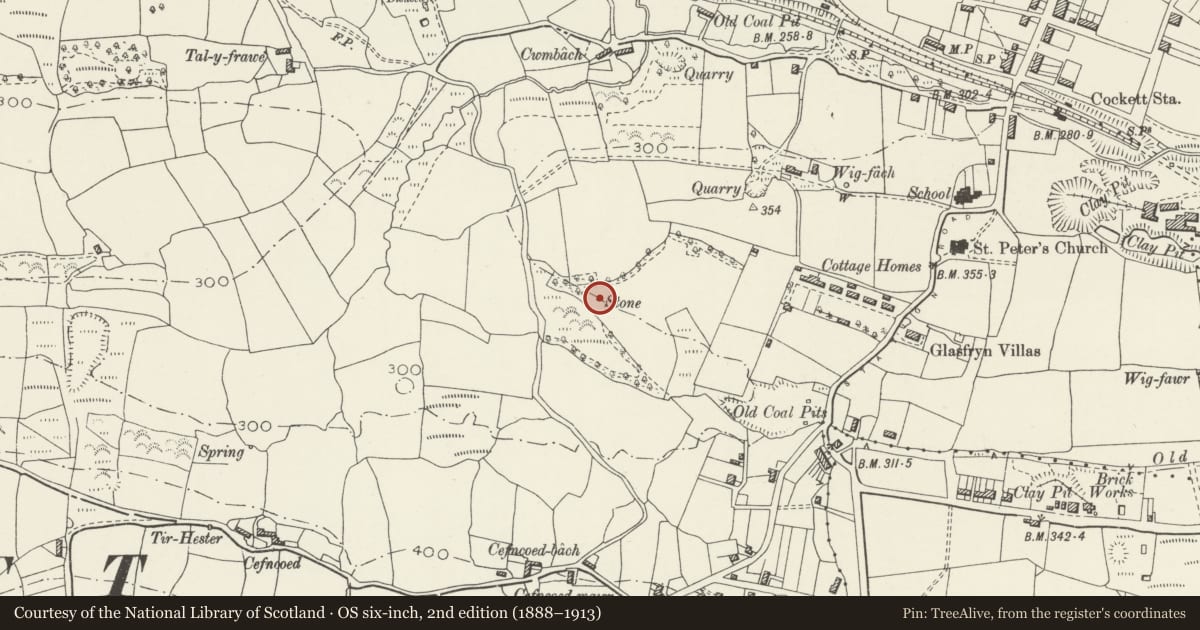 Ordnance Survey six-inch map, 2nd edition (1888–1913) covering the location of Cockett standing stone, Swansea, with a pin at the register's coordinates