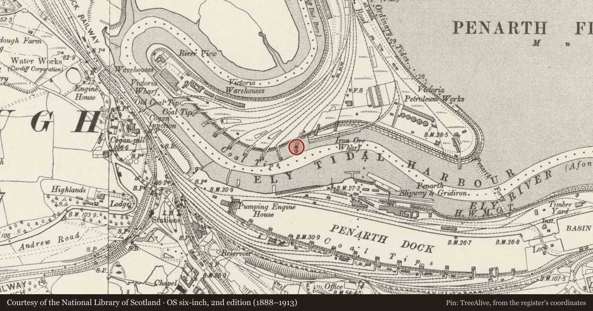 Ordnance Survey six-inch map, 2nd edition (1888–1913) covering the location of Ely Tidal Harbour Coal Staithe Number One, Grangetown, Cardiff, with a pin at the register's coordinates