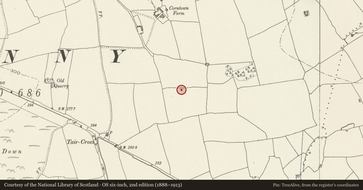 Ordnance Survey six-inch map, 2nd edition (1888–1913) covering the location of Corntown causewayed enclosure, Ewenny, Vale of Glamorgan, with a pin at the register's coordinates