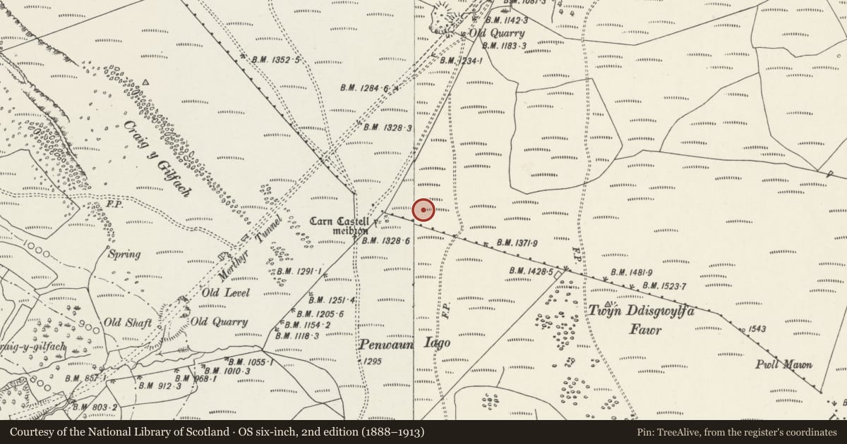 Ordnance Survey six-inch map, 2nd edition (1888–1913) covering the location of Carn Castell y Meibion ring cairn, Cyfarthfa, Merthyr Tydfil, with a pin at the register's coordinates