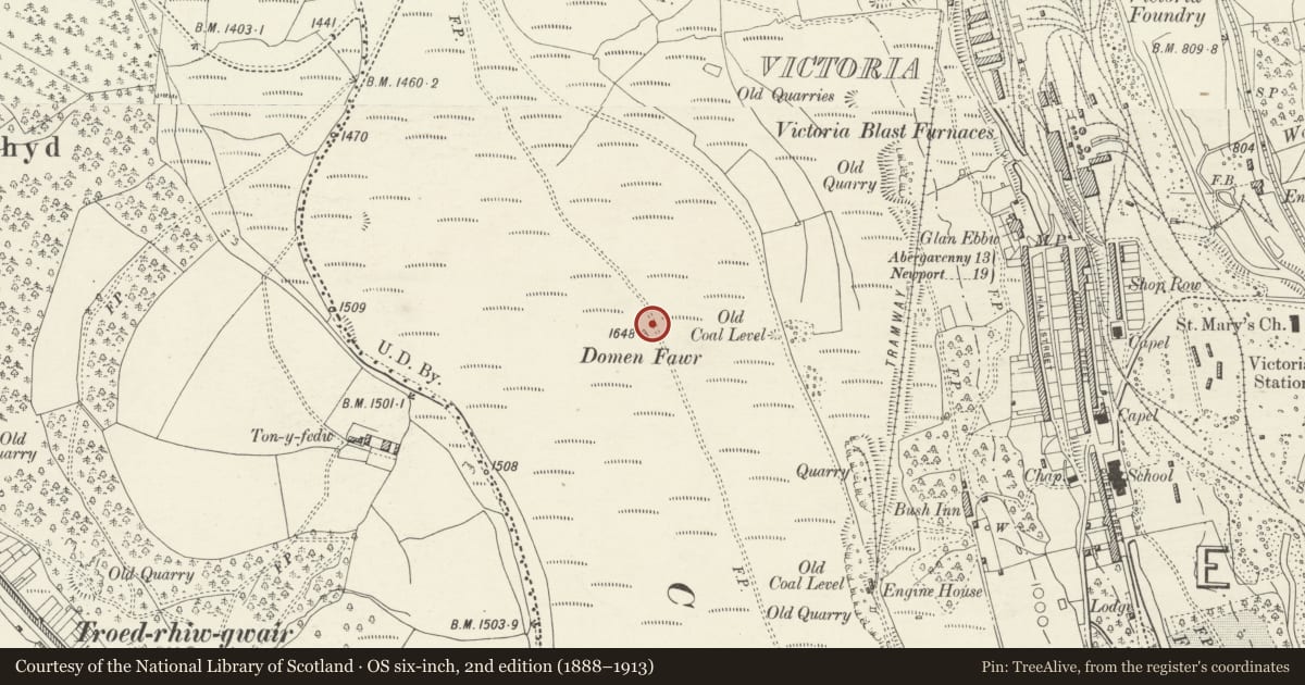 Ordnance Survey six-inch map, 2nd edition (1888–1913) covering the location of Y Domen Fawr round cairn, Ebbw Vale, Blaenau Gwent, with a pin at the register's coordinates