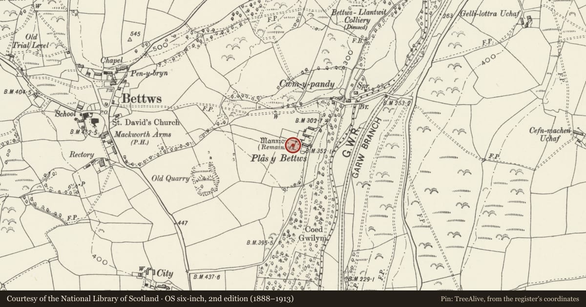 Ordnance Survey six-inch map, 2nd edition (1888–1913) covering the location of Plas-y-Betws relict garden, Garw Valley, Bridgend, with a pin at the register's coordinates