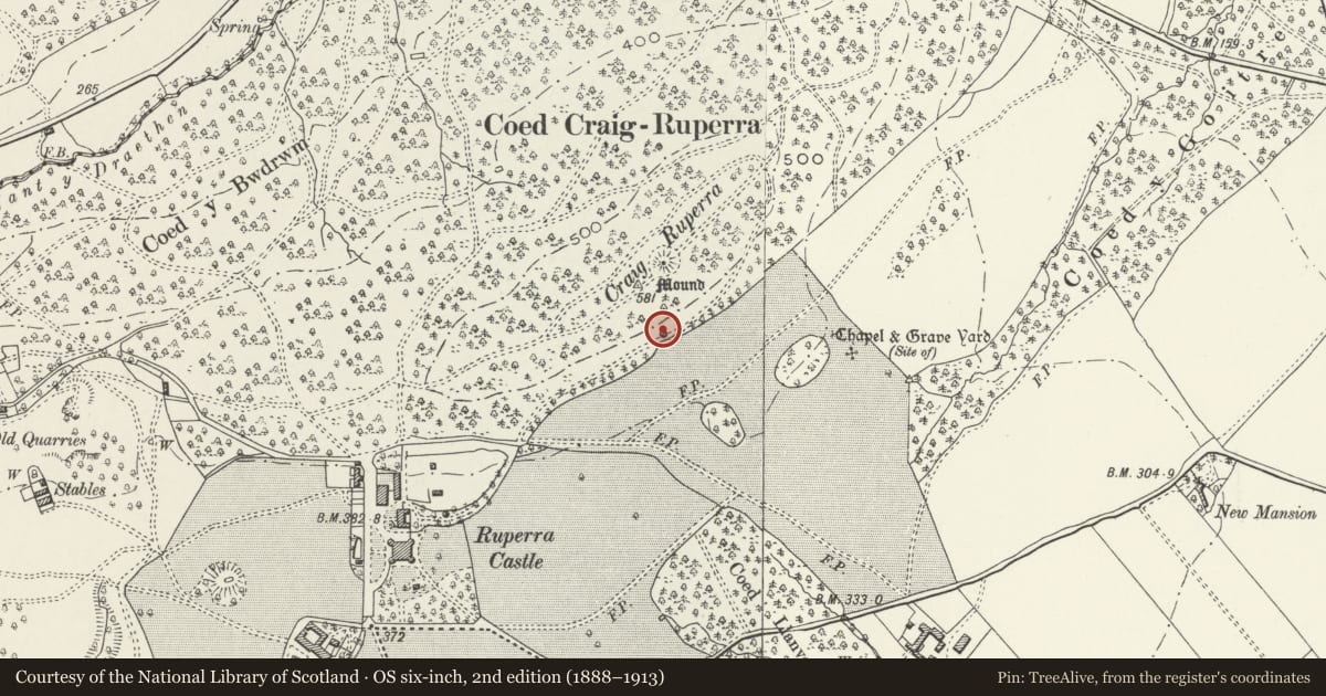 Ordnance Survey six-inch map, 2nd edition (1888–1913) covering the location of Ruperra Castle lower summerhouse remains, Rudry, Caerphilly, with a pin at the register's coordinates