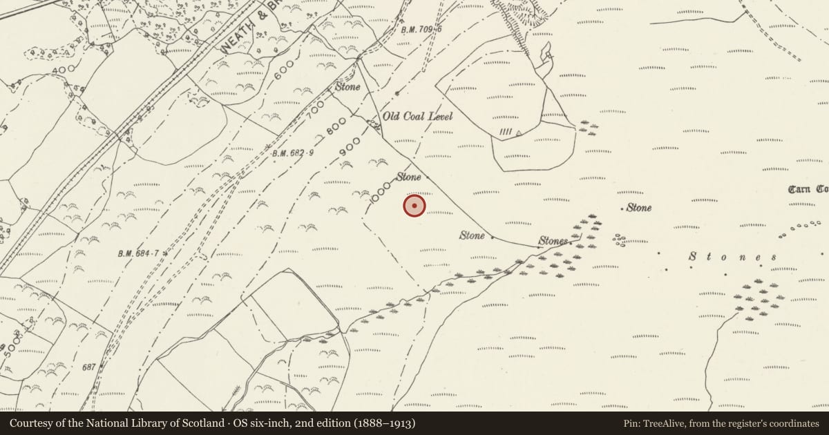 Ordnance Survey six-inch map, 2nd edition (1888–1913) covering the location of Coed Ddu ring cairn, Crynant, Neath Port Talbot, with a pin at the register's coordinates